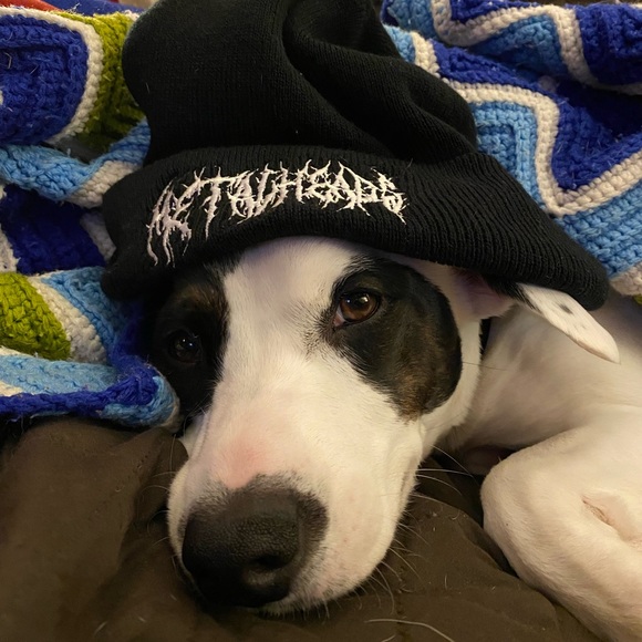 FOLLOW US TO 400K  🌟🌟🌟 THANK YOU ❤️✨❤️✨❤️ PLEASE TAG & SHARE ❤️❤️❤️ - Picture 6 of 16